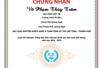 Kết quả IOE cấp Tỉnh năm học 2022 – 2023