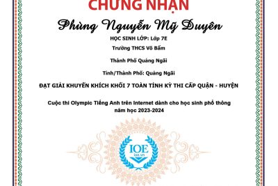 Kết quả IOE cấp Thành phố năm học 2023 – 2024